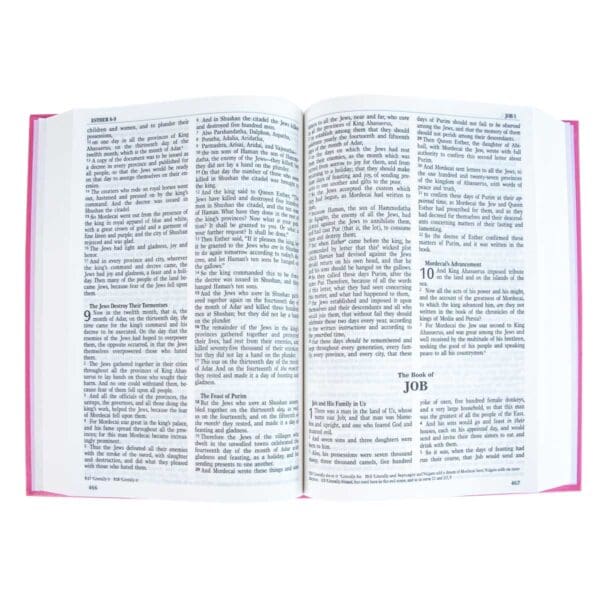 NKJV Pink Hardcover Bible - Image 21