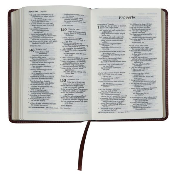 NLT Brown Faux Leather Flexcover Compact Bible - Image 34