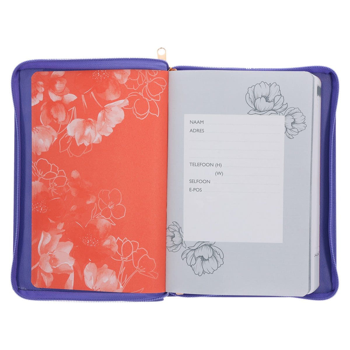 9781776477753_feature2 2026 Joyce Meyer A5 Dagboek - Dagbeplanner - Kunsleer met Rits - Image 4