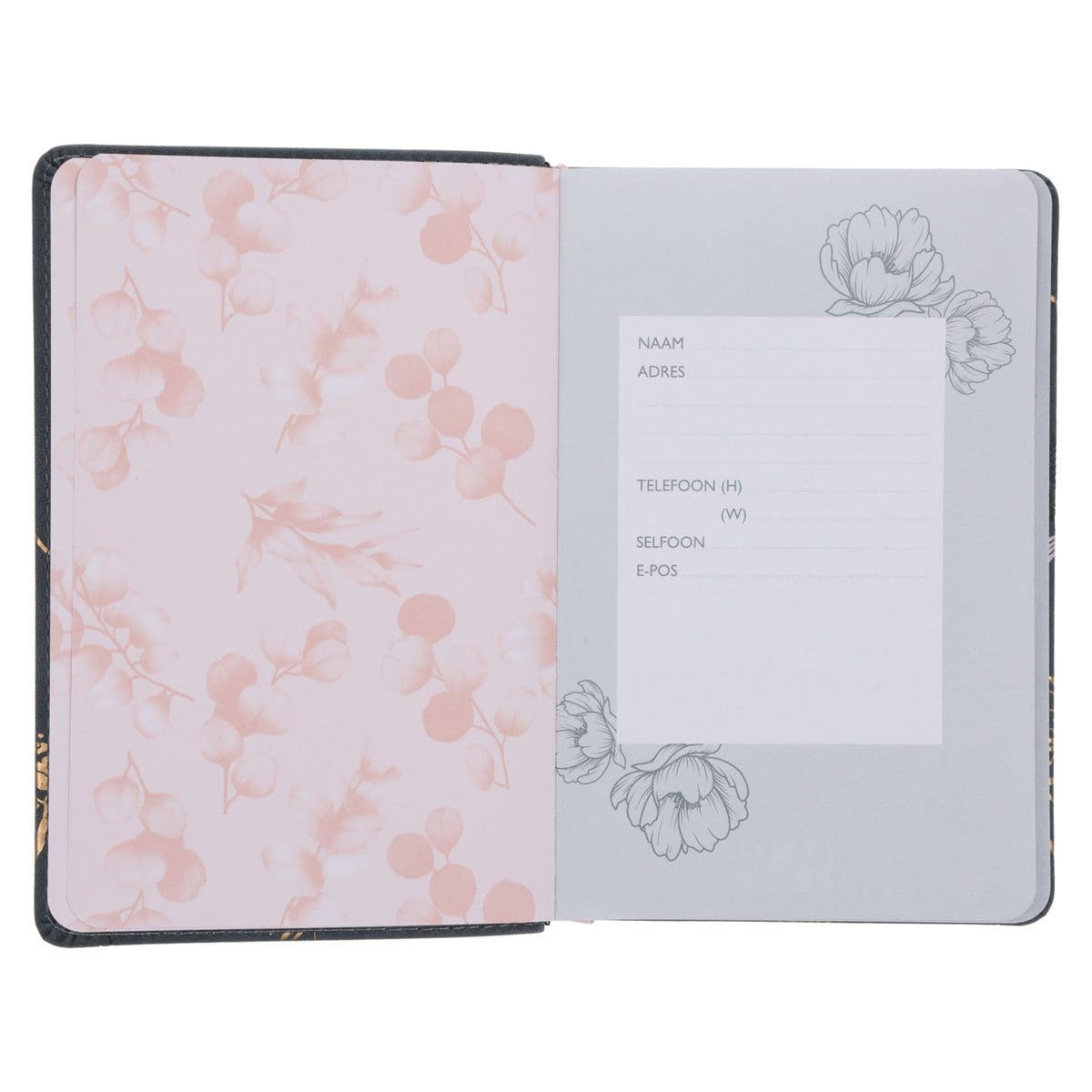 9781776477777_feature2 2026 Joyce Meyer Dagboek - Dagbeplanner - Kunsleer - Image 4