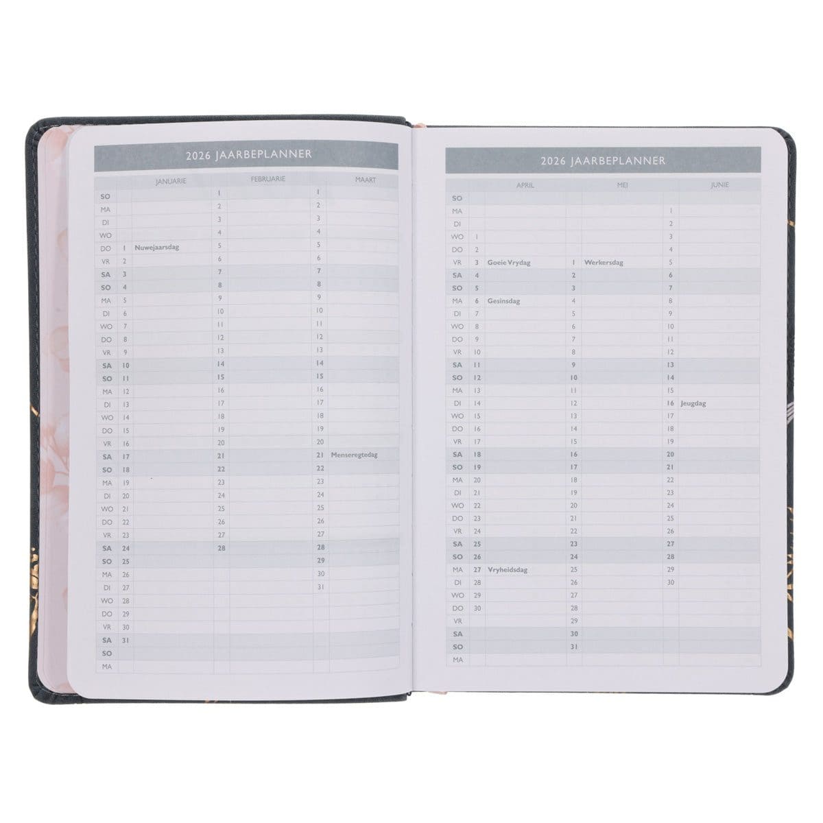 9781776477777_feature3 2026 Joyce Meyer Dagboek - Dagbeplanner - Kunsleer - Image 5