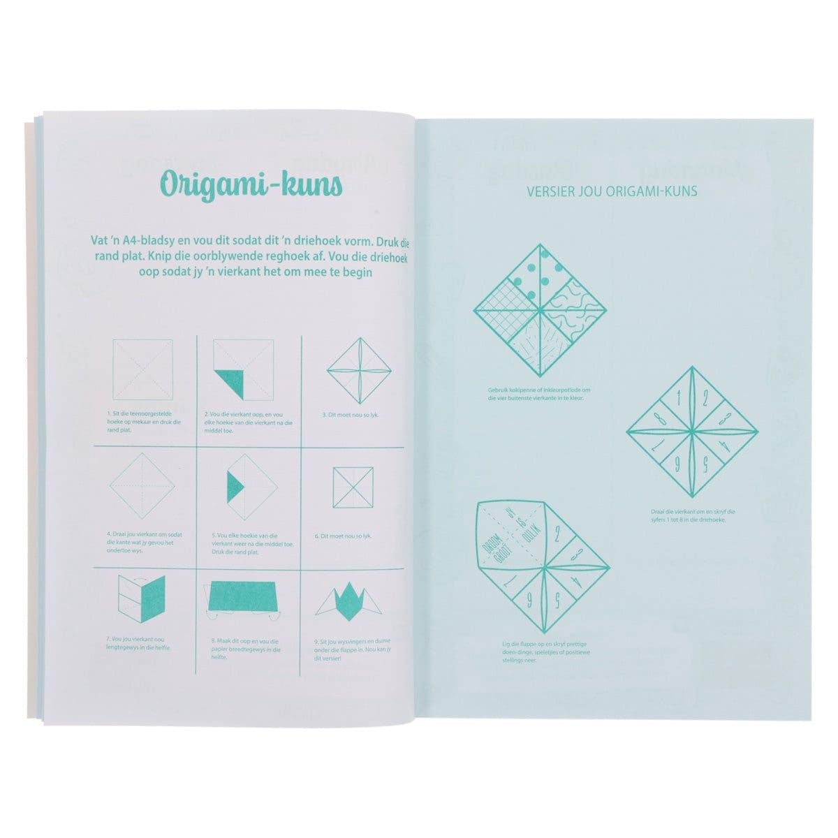 9781776477883_feature3 2026 Skooldagboek - Dagbeplanner vir Meisies - Sagteband - Image 7