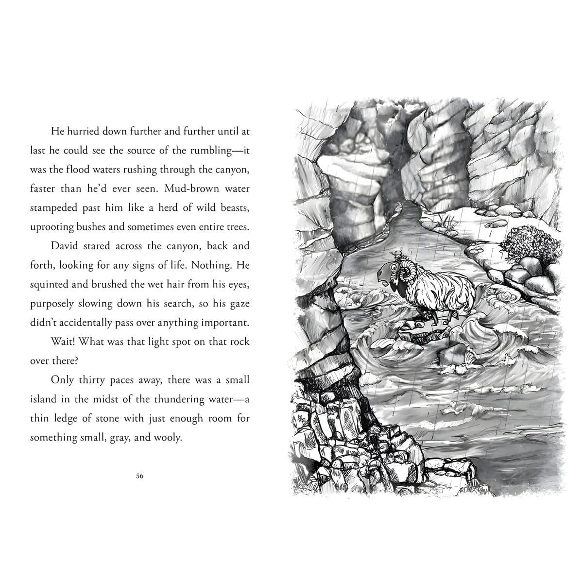 9781962661027_feature2 Shepherd - 2 Young David (Paperback) - Image 7