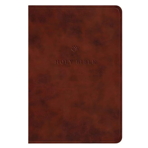 ESV Chestnut Imitation Leather Value Compact Bible Large Print - Image 1