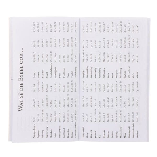 2026 Dagboek - Dagbeplanner - U Woord Is 'n Lamp - Image 3