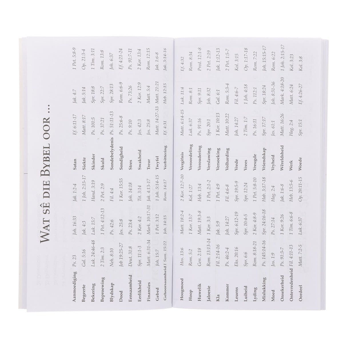 9798896780144_feature2 2026 Dagboek - Dagbeplanner - U Woord Is 'n Lamp - Image 3