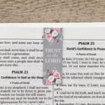 Pink Roses Magnetic Bookmarks Set Of 6 - Image 17