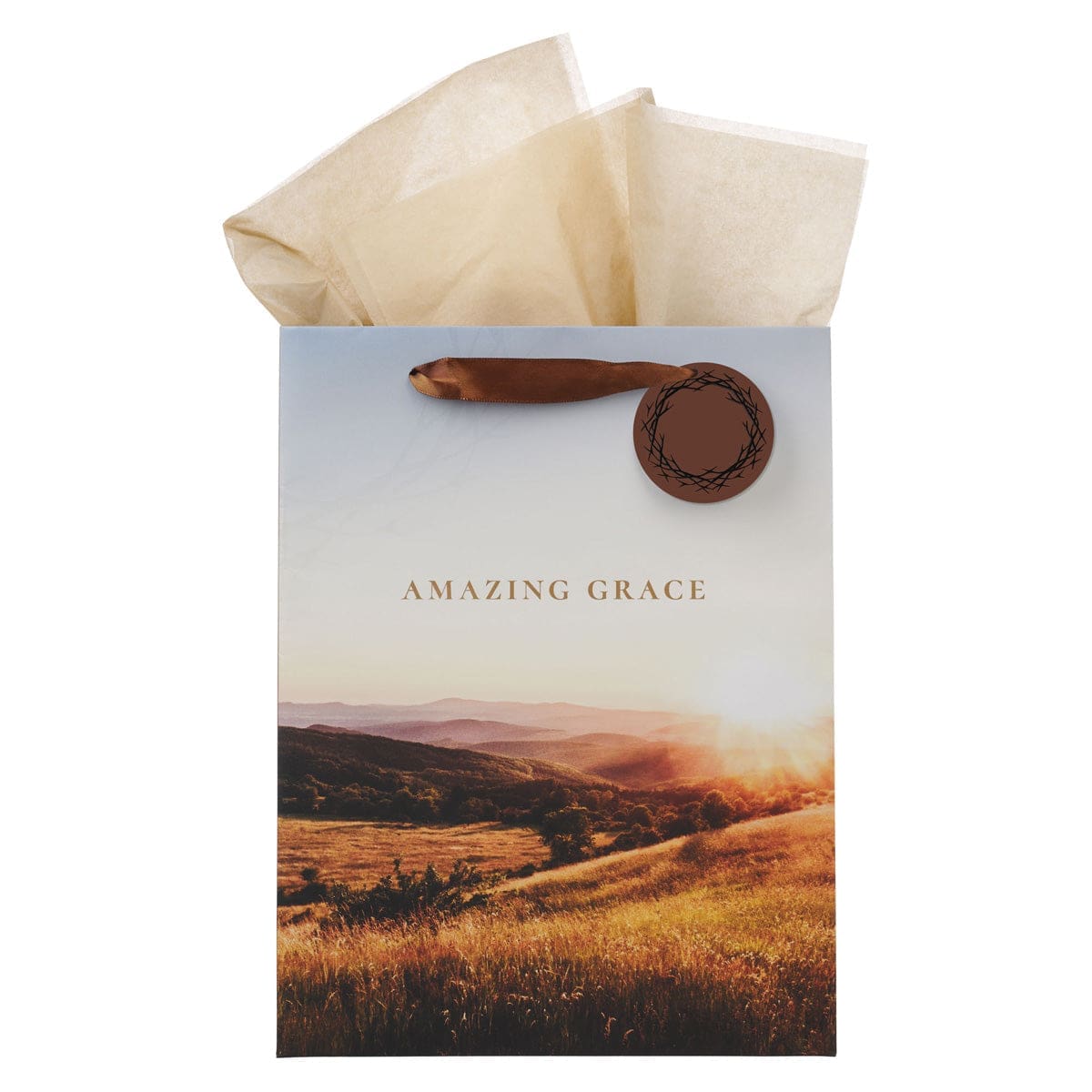 1220000328686_front Amazing Grace Crown of Thorns Portrait Gift Bag with Gift Tag - Image 1