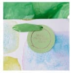 Make Every Day Count Smooth Sea Glass Medium Gift Bag with Gift Tag - Image 29