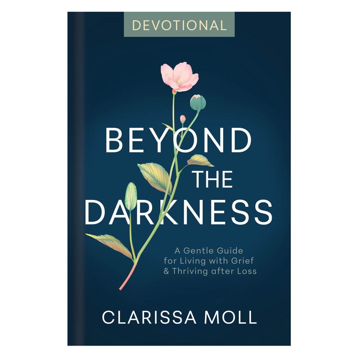 9780638003260_front Beyond the Darkness Devotional (Hardcover) - Image 1