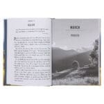 Firm Faith Large Print: 366 Devotions on Following Jesus and Living Life to the Full HC - Image 4