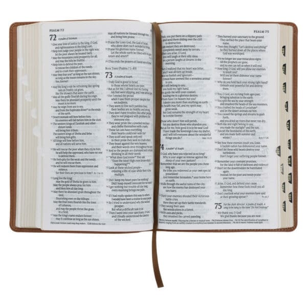 NLT Tan Genuine Leather Flexcover Standard Bible with Indexing Tabs - Image 2