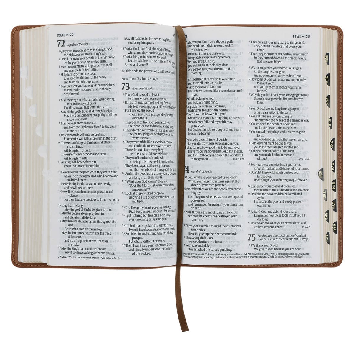 9780638004533_feature4 NLT Tan Genuine Leather Flexcover Standard Bible with Indexing Tabs - Image 2