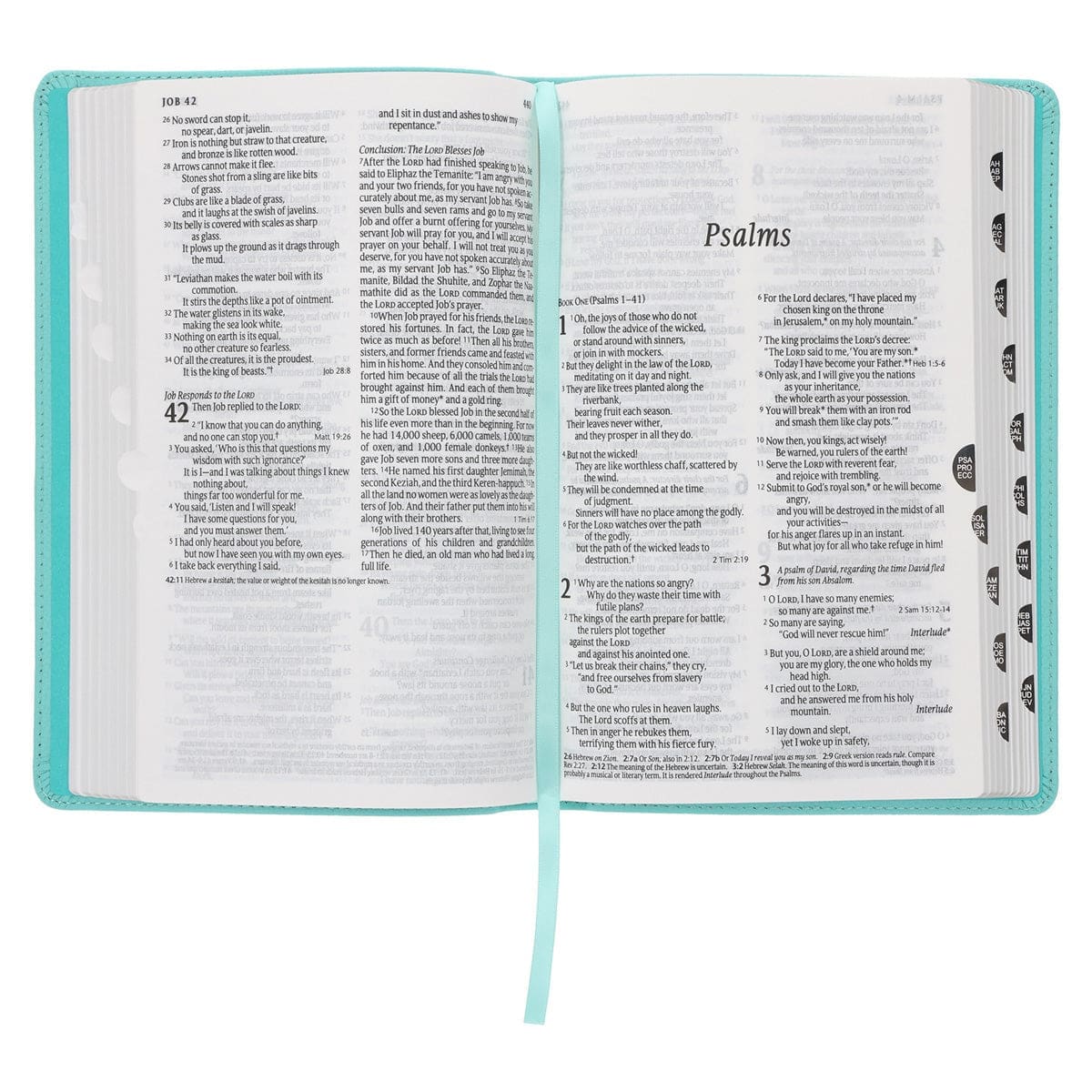 9780638004540_feature3 NLT Aquamarine Genuine Leather Flexcover Standard Bible - Image 5