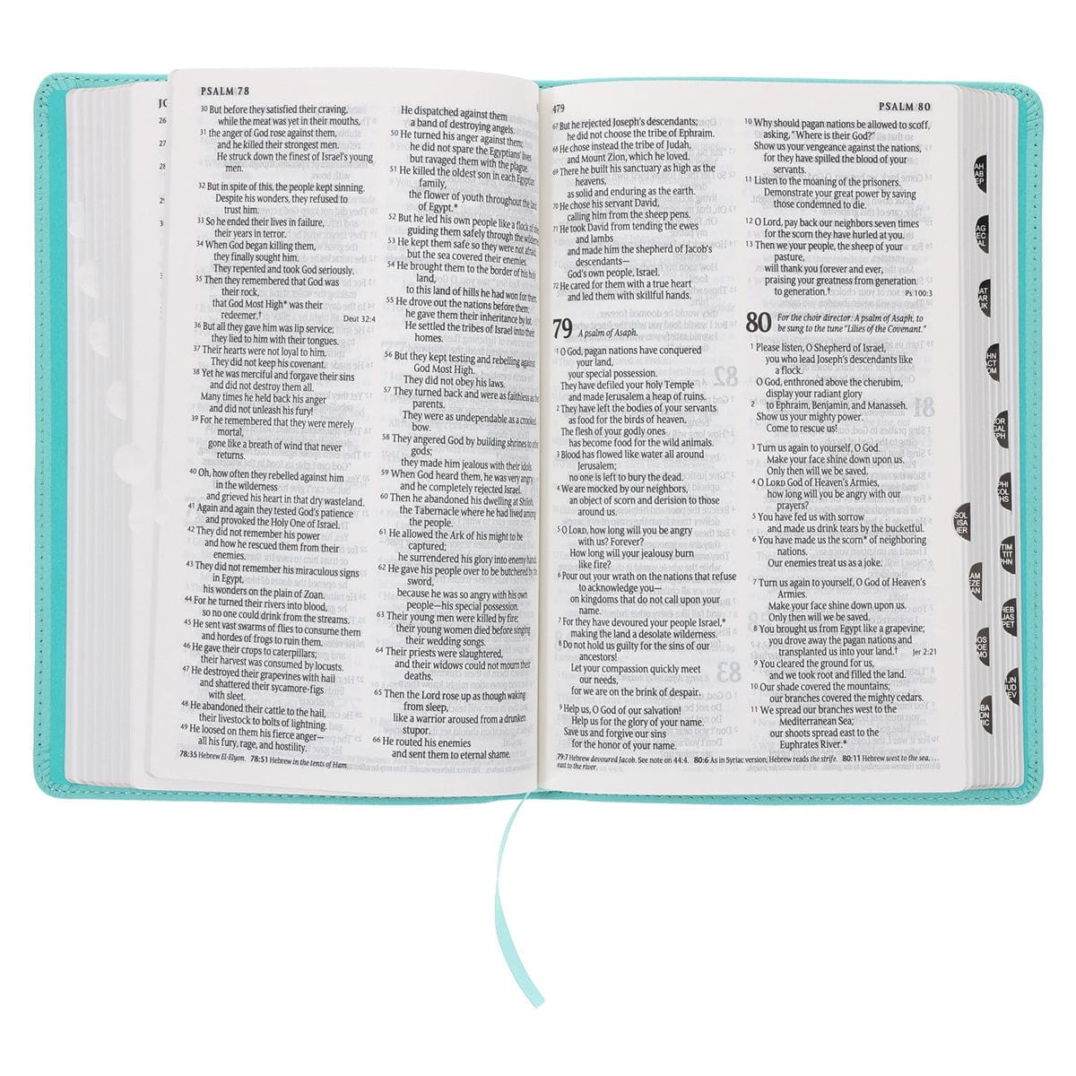 9780638004540_feature4 NLT Aquamarine Genuine Leather Flexcover Standard Bible - Image 6