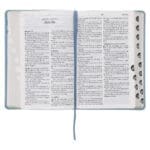 Afrikaans 1933/1953 Vertaling Ligblou Kunsleer Bybel - Image 11