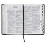 Afrikaans 1933/1953 Vertaling Steenkool Egte Leer Bybel - Image 7