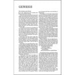 NET Bible Thinline Stone (Comfort Print)(Imitation Leather) - Image 23