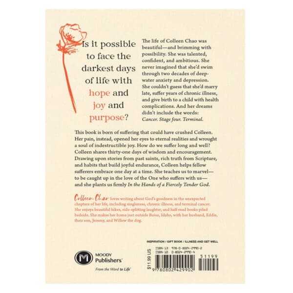 In the Hands of a Fiercely Tender God: 31 Days of Hope, Honesty, and Encouragement PB - Image 2