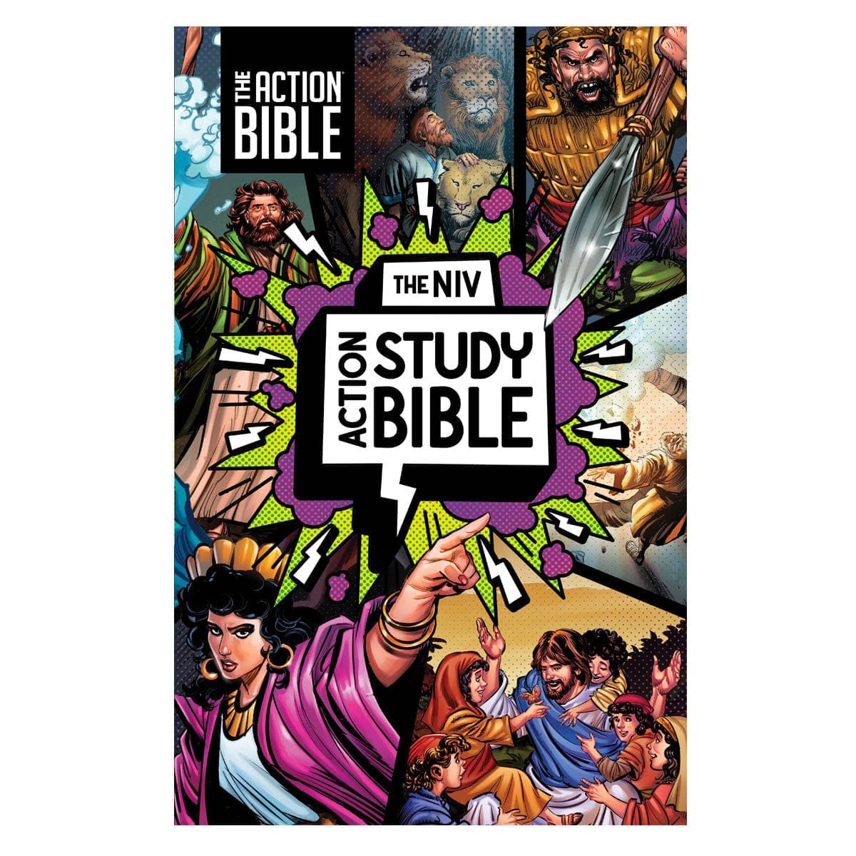 9780830787432_front NIV Hardcover Full Color Action Study Bible - Image 1
