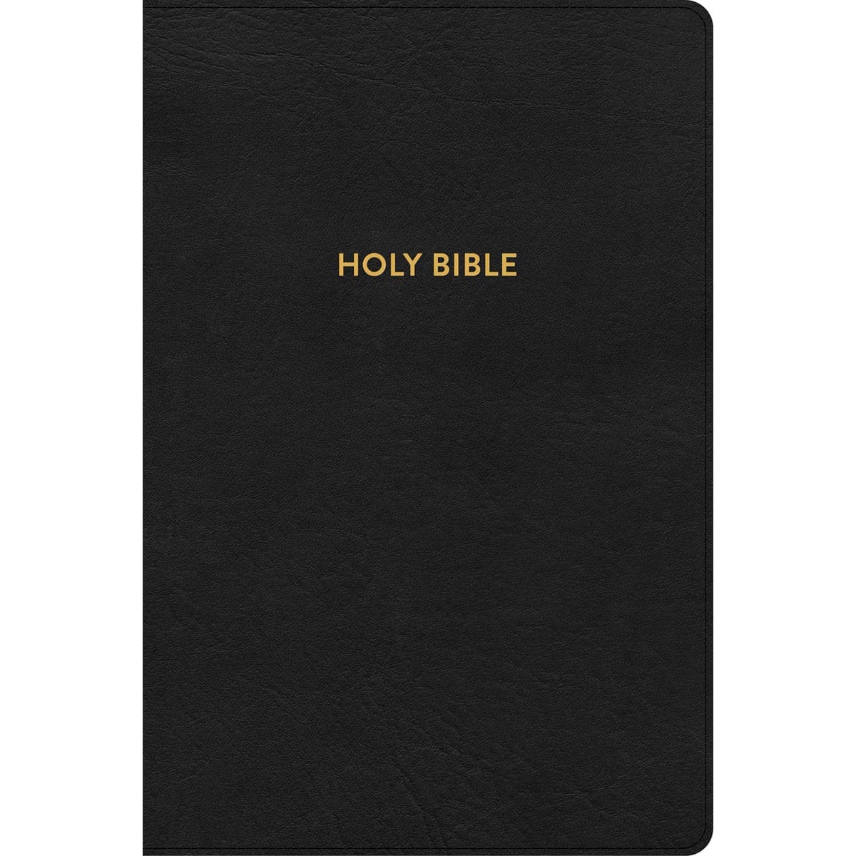9781087782720_front KJV Rainbow Study Bible Indexed Black (Imitation Leather) - Image 1