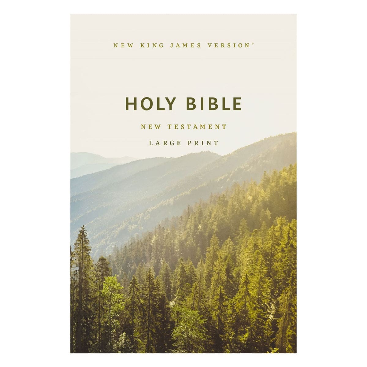 9781400343706_front NKJV Scenic Paperback Outreach New Testament Bible Large Comfort Print - Image 1