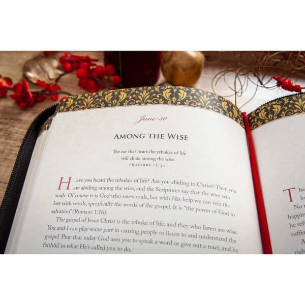 Wisdom For Life Ziparound Devotional: 365 Daily Devotions From The Book Of Proverbs IM - Image 2