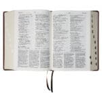 NLV Neutbruin Kunsleer Tematiese Studiebybel Met Duimgrepe - Image 38