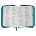 NLV Blougroen Kunsleer Bybel Grootdruk Met Ritssluiter & Duimgrepe - Image 26