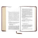 ESV Brown Imitation Leather Daily Reading Bible - Image 9