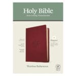 NLT Filament Thinline Reference Bible Red Letter Aurora Cranberry (Imitation Leather) - Image 30