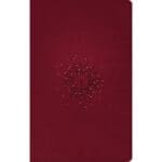NLT Filament Thinline Reference Bible Red Letter Aurora Cranberry (Imitation Leather) - Image 26