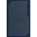 NLT Boys Life Application Study Bible, Indexed, TuTone, Blue / Neon / Glow (Imitation Leather) - Image 9