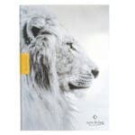 NLT Courage For Life Filament Enabled Study Bible For Men (Hardcover) - Image 17