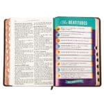 KJV Brown Lion Faux Leather Flexcover Kids Bible Large Print - Image 41