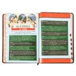 KJV Brown Lion Faux Leather Flexcover Kids Bible Large Print - Image 42