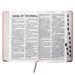 KJV Pink Faux Leather Bible Giant Print - Image 32