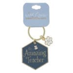 Amazing Teacher Metal Key Ring - Image 6