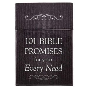 101 Bible Promises For Your Every Need (Boxed Cards)