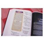 NIV Blue Hardcover Kingdom Girls Bible Comfort Print - Image 41