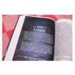 NIV Blue Hardcover Kingdom Girls Bible Comfort Print - Image 42