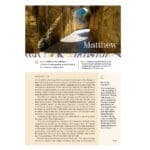 NIV Brown Imitation Leather Application Bible Comfort Print - Image 19