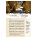 NIV Coral and Grey Imitation Leather Application Bible Comfort Print - Image 19