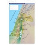 NIV Coral and Grey Imitation Leather Application Bible Comfort Print - Image 20