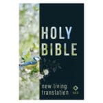 NLT Bird Paperback Compact Bible - Image 4