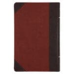 Afrikaans 1933/1953 Vertaling Bruin Kunsleer Bybel - Image 19