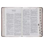 Afrikaans 1933/1953 Vertaling Bruin Kunsleer Bybel - Image 22