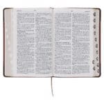 Afrikaans 1933/1953 Vertaling Bruin Kunsleer Bybel - Image 24