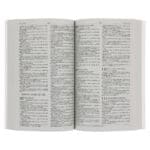 NLV Pienk Berge Sagteband Uitreikbybel - Image 24