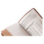 NKJV Personal Size Reference Bible Tan (Comfort Print)(Verse Art Cover)(Imitation Leather) - Image 17